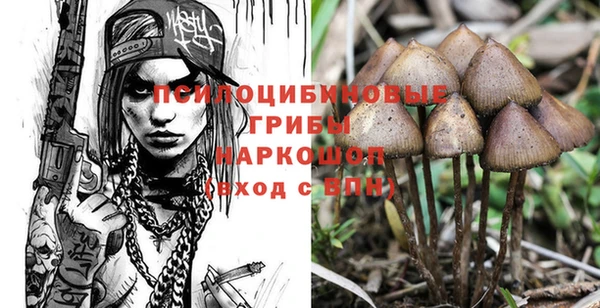 тгк Володарск