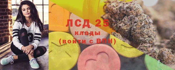 тгк Володарск