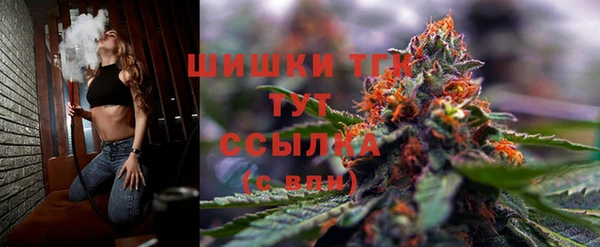 тгк Володарск